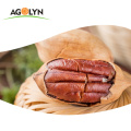 AGOLYN First Quality Roasted Salted pecan nut with shell